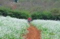 /album/photogallery/a1456633-1506312872956147-3215406965869489809-n-jpg/