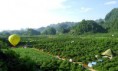 /album/photogallery/ngay-hoi-pys-travel002-jpg/