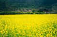 /album/photogallery/a12661775-500160043518751-4220912824599179635-n-jpg/