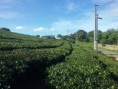 /album/photogallery/a20160614-165938-jpg/