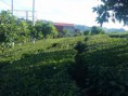 /album/photogallery/a20160614-165955-jpg/