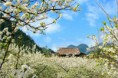 /album/photogallery/a5-dia-danh-dep-me-hon-cuon-hut-ban-tre-yeu-phuot-14-jpg1/