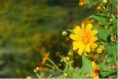 /album/photogallery/a10952371-337112576483390-5603551835668331037-n-jpg1/