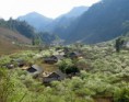 /album/photogallery/cao-nguyen-moc-chau-ban-ba-phach-ba-khan-thac-go-lao-2n1d-jpg1/